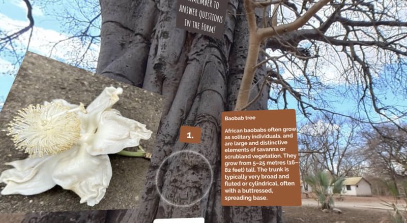 Tree Identification Simulation in Tanzania